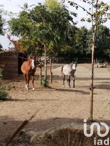 Maison à vendre 6 pièces 188 m² Saint-Jean-de-Liversay