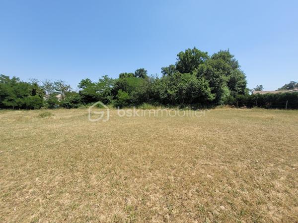 Terrain de 1 363 m²