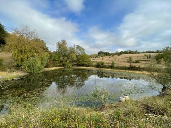 Maison à vendre à Pavie (32550) - Gers