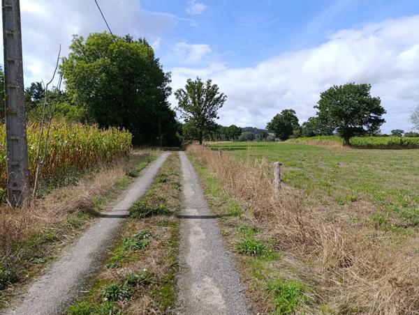 Maison à vendre à Saint-Vigor-des-Monts (50420) - Manche
