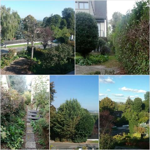 Maison 8 pièces - 230 m²