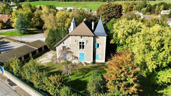 Vente Château 14 pièces 500 m2 à Manois
