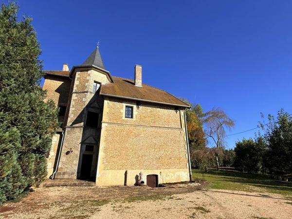 Vente Château 14 pièces 500 m2 à Manois