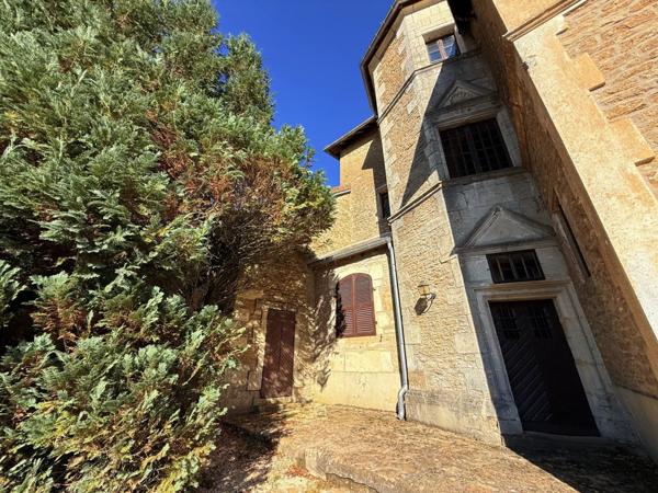 Vente Château 14 pièces 500 m2 à Manois