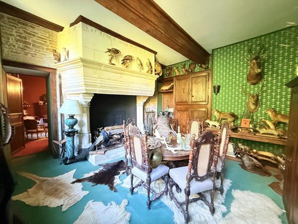 Vente Château 14 pièces 500 m2 à Manois