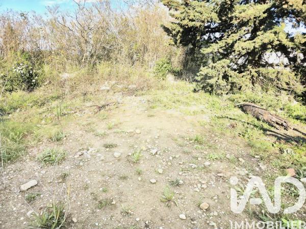 Terrain à vendre 489 m² Sallèles-d'Aude