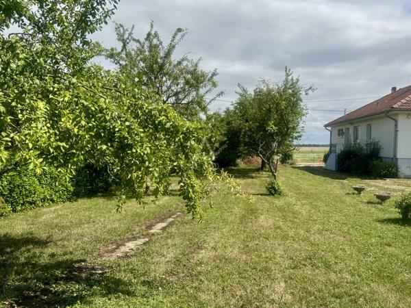 EXCLUSIVITÉ // AUGNY // TERRAIN CONSTRUCTIBLE // VIABILISÉ // 5,95 ARES