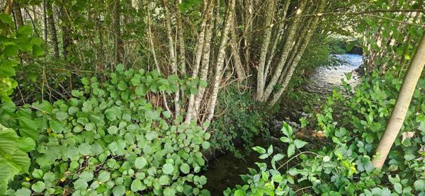 Terrain plat et terrassé, prêt à bâtir
