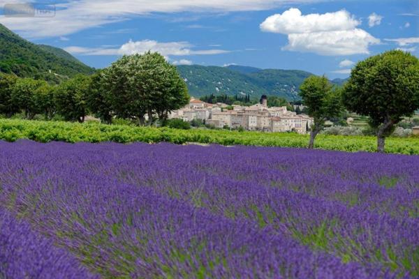 Fonds et/ou murs commerciaux à vendre à Montélimar dans la Drôme (26200), ref : 26060-749
