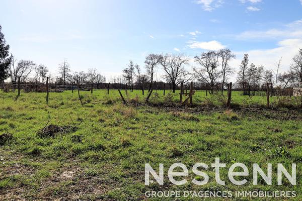 A vendre : Terrain à bâtir viabilisé - 71680 CRECHES SUR SAONE