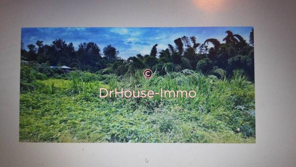 Terrain à vendre de 290 m²