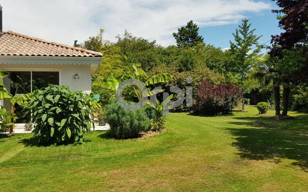 Maison à vendre    4 pièces •  Aytré