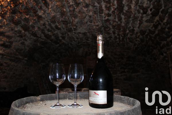 Maison à vendre 5 pièces 207 m² Saint-Martin-d'Ablois