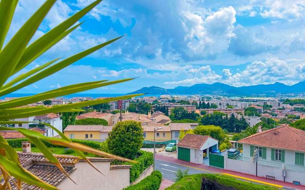 Appartement à louer    3 pièces •  Cannes