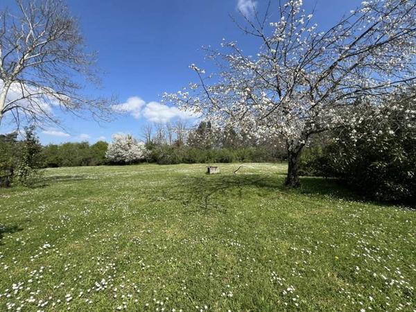 Maison à vendre |                                       Tonneins |                                        6 pièces  |  250 m²