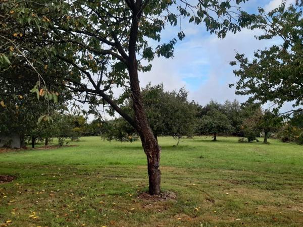 Maison à GUILLIERS (56490)