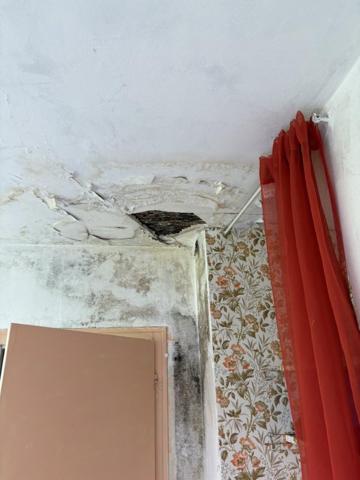 Vente / Maison mitoyenne à Meyzieu (69330)