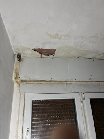 Vente / Maison mitoyenne à Meyzieu (69330)