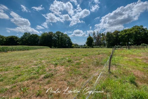 Exclusivté Capifrance \ Maison rénovée sur 1,43ha / 5 minutes de Briouze !