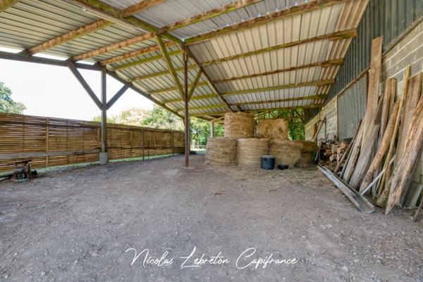 Exclusivté Capifrance \ Maison rénovée sur 1,43ha / 5 minutes de Briouze !