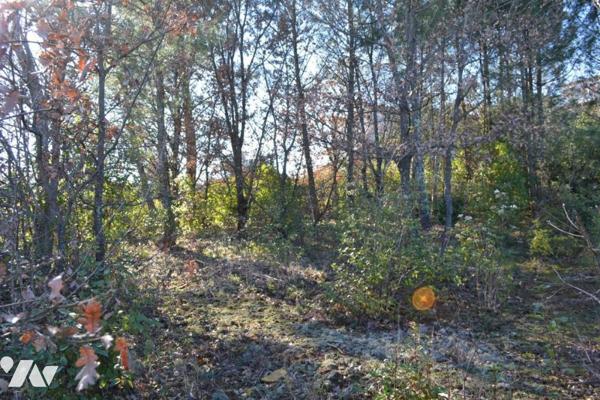 TERRAIN A BATIR DE 1239 M²