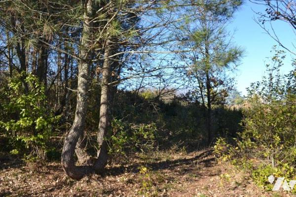 TERRAIN A BATIR DE 1239 M²