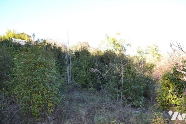 TERRAIN A BATIR DE 1239 M²