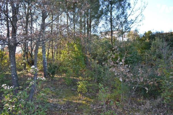 TERRAIN A BATIR DE 1239 M²