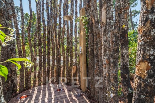 Villa d'Exception Cap-Ferret – Luxe, Nature et Élégance