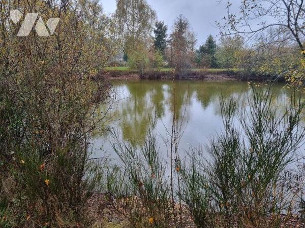 A vendre à Selles Saint Denis (41), petit territoire de 2ha 29 agrémenté d'une pièce d'eau, vér...