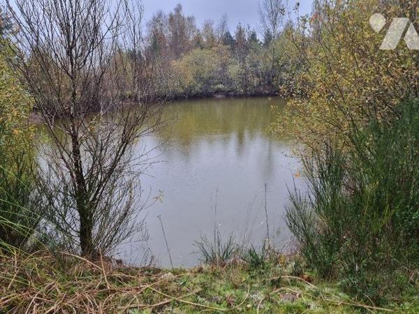 A vendre à Selles Saint Denis (41), petit territoire de 2ha 29 agrémenté d'une pièce d'eau, vér...