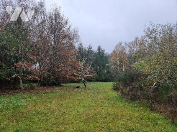 A vendre à Selles Saint Denis (41), petit territoire de 2ha 29 agrémenté d'une pièce d'eau, vér...