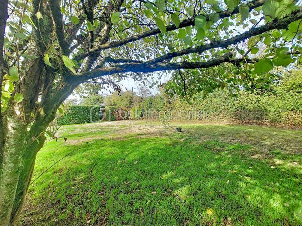 Maison de campagne- Terrain de 1380m2- sans vis-à-vis- Dépendances

Et si le bonheur résidait tout simplement dans un cadre naturel agréable, un bel espace extérieur et le plaisir de profiter d'un chez-soi à la campagne ?

Initialement pensée comme une maison de vacances, cette maison de 54 m² a su devenir, au fil des années, un véritable lieu de vie. Elle séduit aujourd'hui par sa simplicité, son environnement et sa belle parcelle de 1 380 m², entièrement clôturée et sans vis-à-vis.

Elle se compose d'une entrée par une véranda équipée d'un poêle à granulés, d'une pièce de vie ouverte sur une cuisine aménagée, d'une chambre avec placard intégré ainsi que d'une salle d'eau avec toilettes.
À l'étage, une pièce aménagée en chambre complète l'ensemble, ainsi que des combles non aménageables.

Côté pratique, la propriété dispose de plusieurs annexes : une grande pièce faisant actuellement office de cellier, avec un accès indépendant par l'extérieur, un abri bois, deux petites dépendances, un carport et un garage permettant d'abriter un véhicule.

À l'extérieur, place à l'espace et à la tranquillité ! Le terrain de 1 380 m², entièrement clos et à l'abri des regards, offre de belles possibilités pour jardiner, profiter des beaux jours ou simplement profiter de la nature.

Que vous recherchiez une résidence principale à taille humaine ou un pied-à-terre pour vos week-ends et vacances dans le Jura, cette propriété offre un cadre de vie agréable, où simplicité et nature se conjuguent naturellement.

Une maison petite maison avec de beaux espaces extérieurs et des dépendances appréciables, à découvrir pour en apprécier tout le potentiel !
