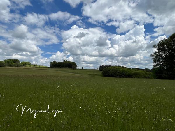 Tulle (19000) A vendre 30HA de terres agricoles à proximité de Tulle (19)