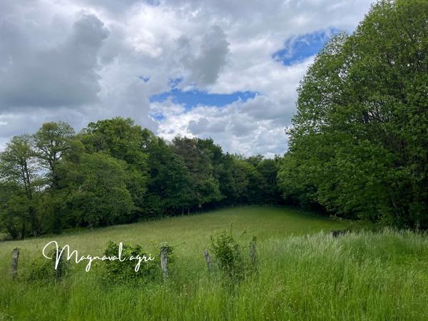 Tulle (19000) A vendre 30HA de terres agricoles à proximité de Tulle (19)