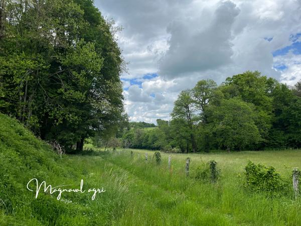 Tulle (19000) A vendre 30HA de terres agricoles à proximité de Tulle (19)