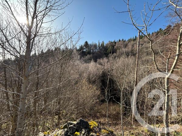 Maison à vendre  3 pièces - 50,58 m2 VANOSC - 07