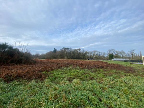 Caudan (56850) CAUDAN