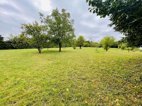 Maison entièrement rénovée. 110 m2. 4 chambres.3700m² de terrain