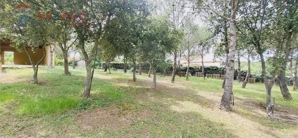 Maison  en vente - Aude - 11