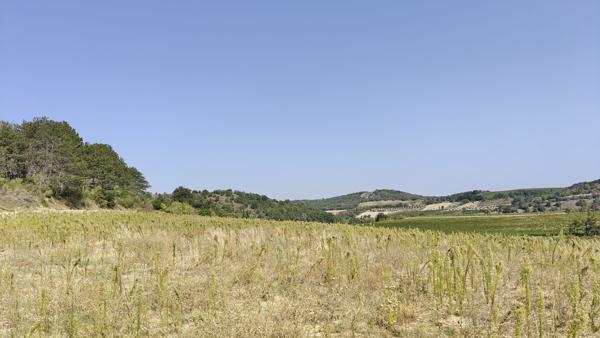 Proche Limoux - Terrain constructible de plus de 10 000m²