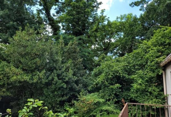 Maison Les Pavillons Sous Bois 130 m2 secteur Basoche