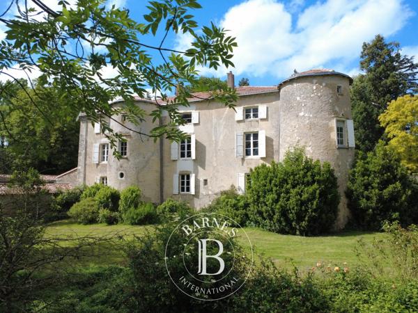 Poitiers, Château 8 Chambres -  1 000 m² à vendre