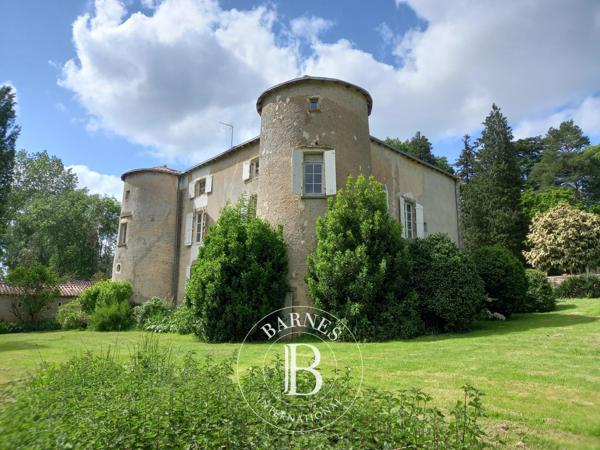 Poitiers, Château 8 Chambres -  1 000 m² à vendre