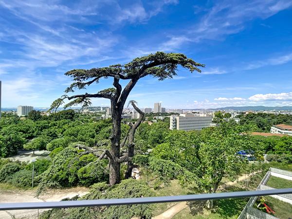 Superbe T3 avec Terrasse et Garage double Résidence Neuve