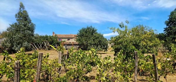 Maison à vendre à Maillezais (85420) - Vendée