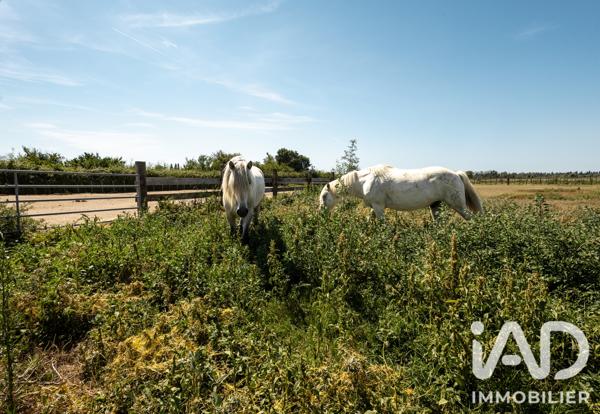 Maison à vendre 5 pièces 176,41 m² Saint-Gilles