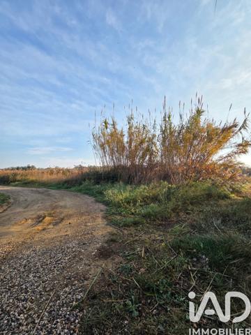 Terrain à vendre 11 946 m² Pia