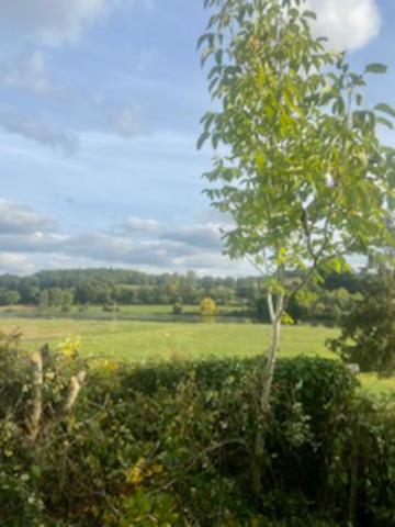 Terrain à vendre à Chabanais (16150) - Charente