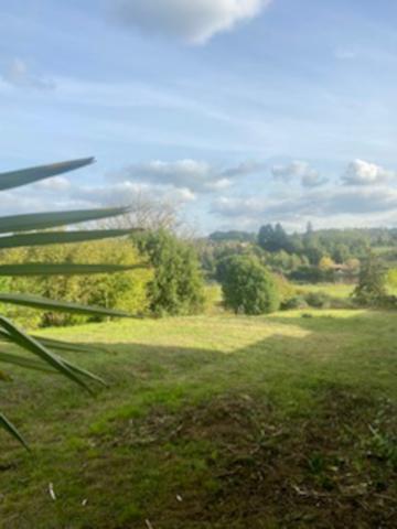 Terrain à vendre à Chabanais (16150) - Charente